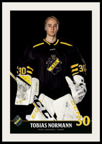 Tobias Normann #30 AIK Hockey 2023/2024-4