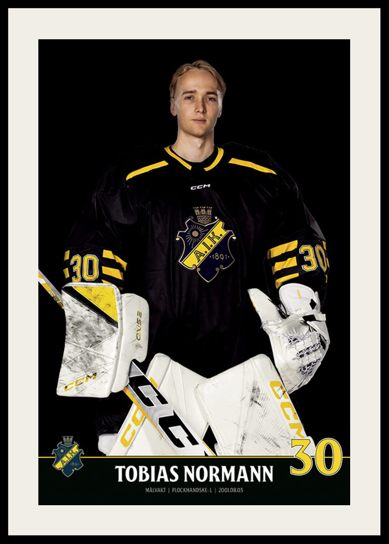 Tobias Normann #30 AIK Hockey 2023/2024-12