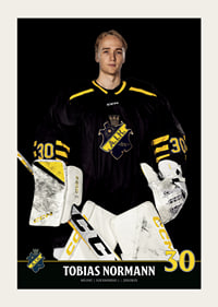 Tobias Normann #30 AIK Hockey 2023/2024-5