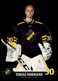 Tobias Normann #30 AIK Hockey 2023/2024-6