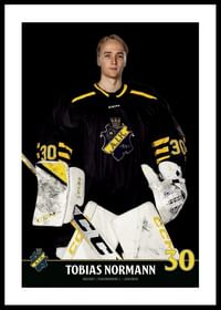 Tobias Normann #30 AIK Hockey 2023/2024-0