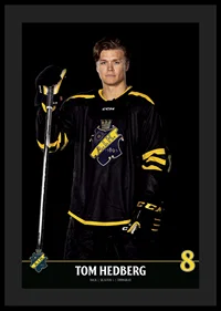 Tom Hedberg #8 AIK Hockey 2023/2024-0
