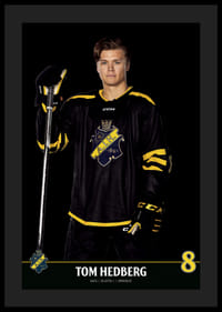 Tom Hedberg #8 AIK Hockey 2023/2024-0