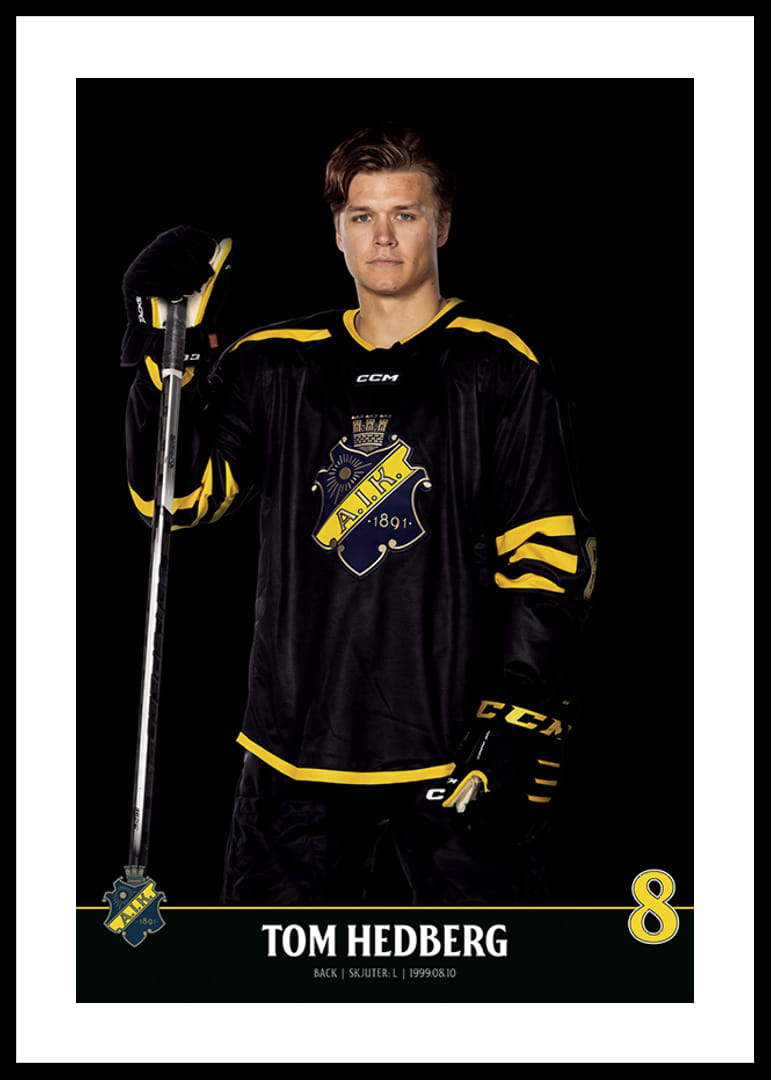 Tom Hedberg #8 AIK Hockey 2023/2024-12