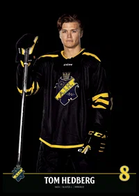 Tom Hedberg #8 AIK Hockey 2023/2024-6