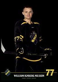 William Ignberg Nilsson #77 AIK Hockey 2023/2024-6