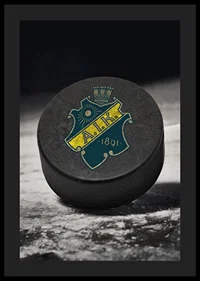 AIK Hockey Puck-0