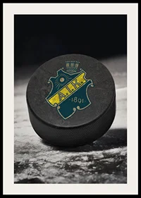 AIK Hockey Puck-4