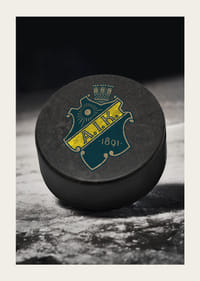 AIK Hockey Puck-5