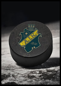 AIK Hockey Puck-6