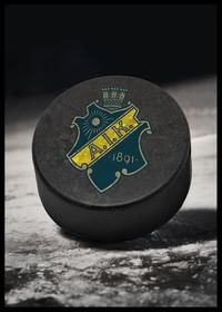 AIK Hockey Puck-2