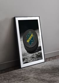 AIK Hockey Puck-4