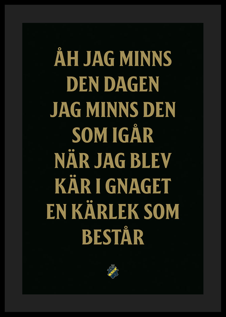 AIK Hockey Åh Jag Minns Den Dagen-12