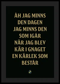AIK Hockey Åh Jag Minns Den Dagen-0