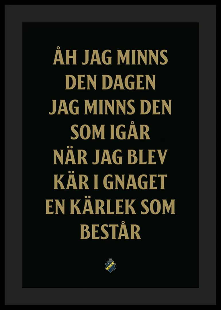 AIK Hockey Åh Jag Minns Den Dagen-12