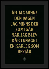 AIK Hockey Åh Jag Minns Den Dagen-0