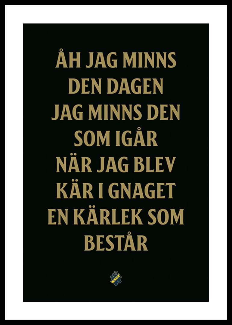 AIK Hockey Åh Jag Minns Den Dagen-12