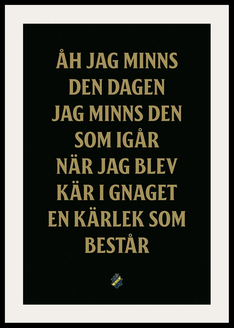 AIK Hockey Åh Jag Minns Den Dagen-12