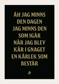 AIK Hockey Åh Jag Minns Den Dagen-5