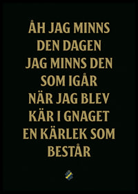 AIK Hockey Åh Jag Minns Den Dagen-6