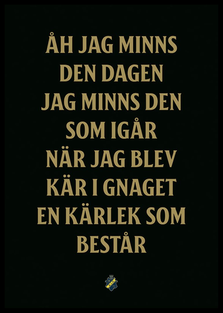 AIK Hockey Åh Jag Minns Den Dagen-12