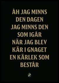 AIK Hockey Åh Jag Minns Den Dagen-6