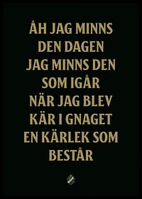 AIK Hockey Åh Jag Minns Den Dagen-2