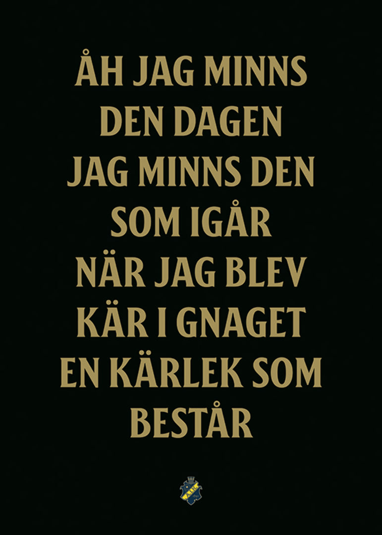 AIK Hockey Åh Jag Minns Den Dagen-12