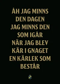 AIK Hockey Åh Jag Minns Den Dagen-7