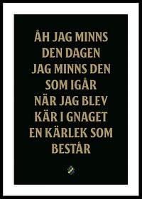 AIK Hockey Åh Jag Minns Den Dagen-0
