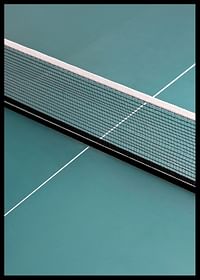Tennis Net-2