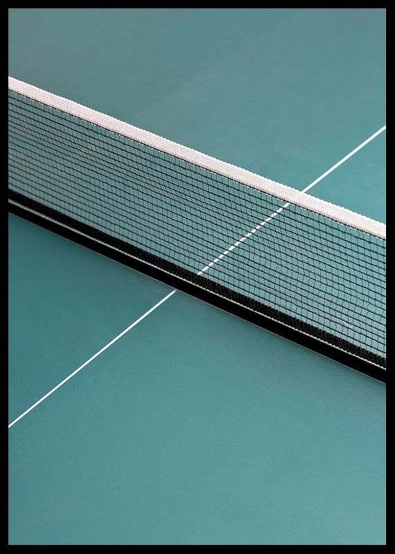 Tennis Net-12