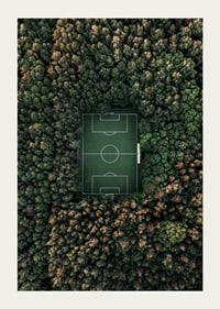 Flygfoto över fotbollsplan omgiven av tät grön skog-3