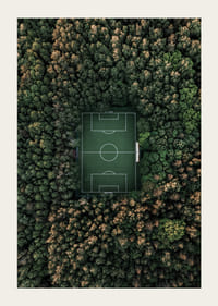 Luftfoto av fotballbane omgitt av tett grønn skog-3