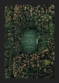 Flygfoto över fotbollsplan omgiven av tät grön skog-5