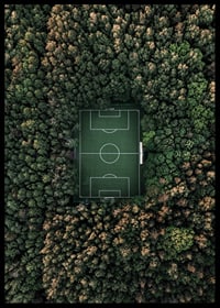 Flygfoto över fotbollsplan omgiven av tät grön skog-6