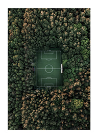 Flygfoto över fotbollsplan omgiven av tät grön skog-1