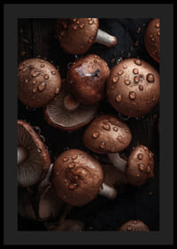 Barna gombákról készült közeli felvétel vízcseppekkel-0