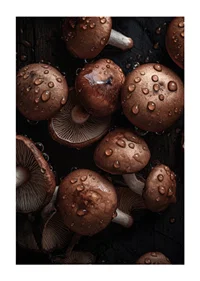 Photographic close-up of brown mushrooms with water drops-3