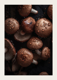 Barna gombákról készült közeli felvétel vízcseppekkel-5