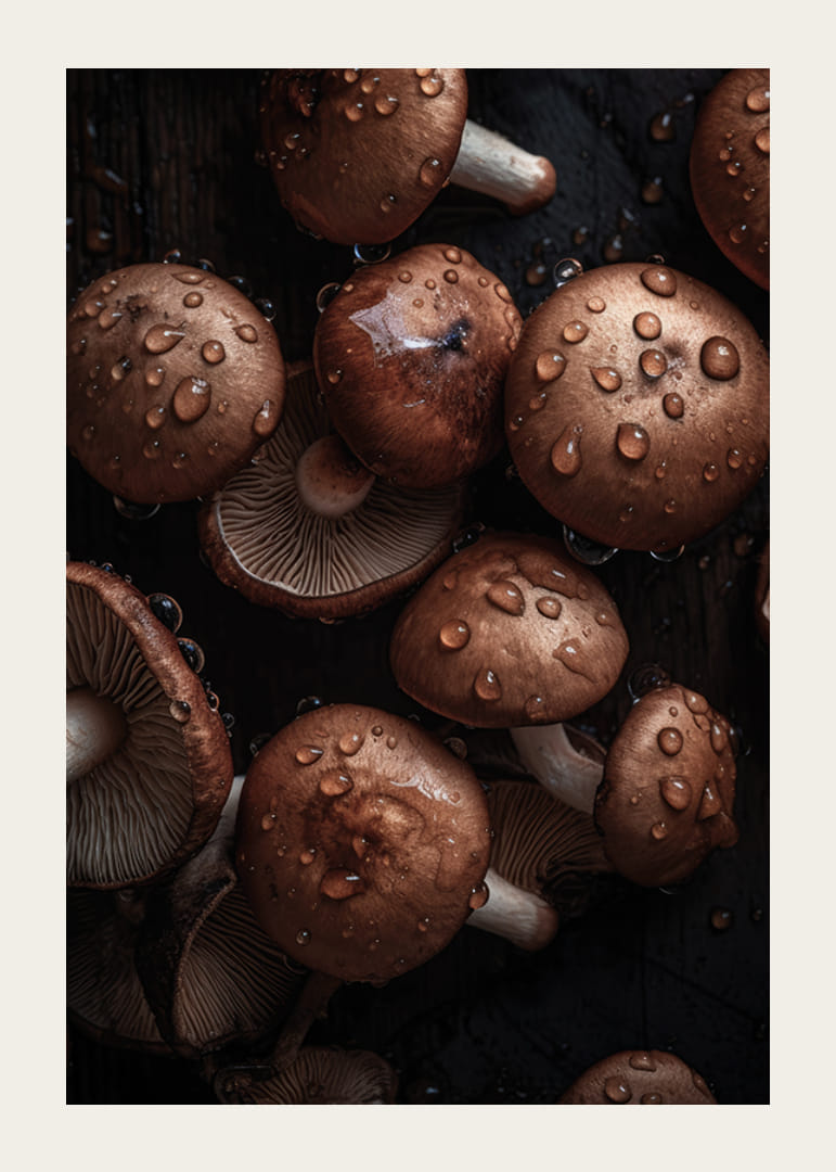 Barna gombákról készült közeli felvétel vízcseppekkel-12