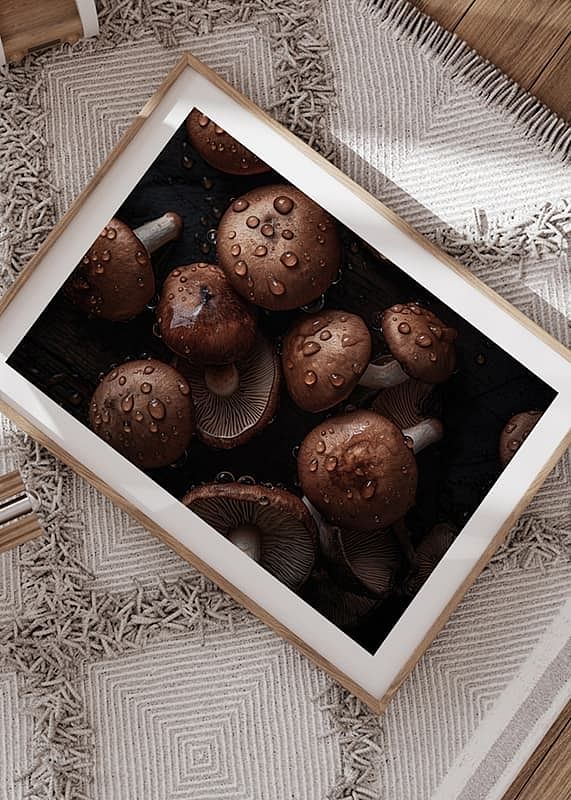 Mushrooms No2-12