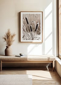 Photograph of frost-covered down against blurred background-8