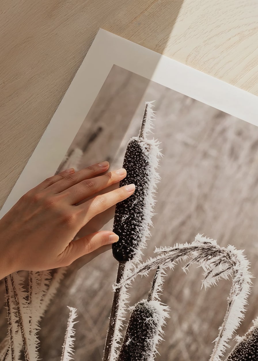 Photograph of frost-covered down against blurred background-12