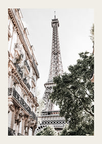 Low angle photography of the Eiffel Tower with greenery-3