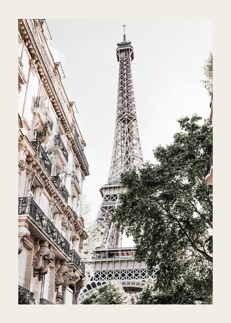 Low angle photography of the Eiffel Tower with greenery-12