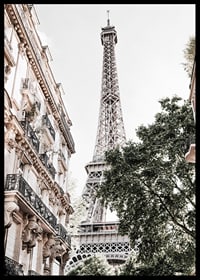Low angle photography of the Eiffel Tower with greenery-6