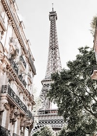 Low angle photography of the Eiffel Tower with greenery-7