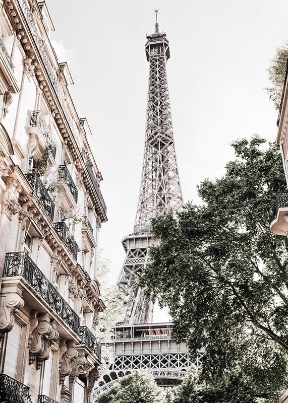 Low angle photography of the Eiffel Tower with greenery-12