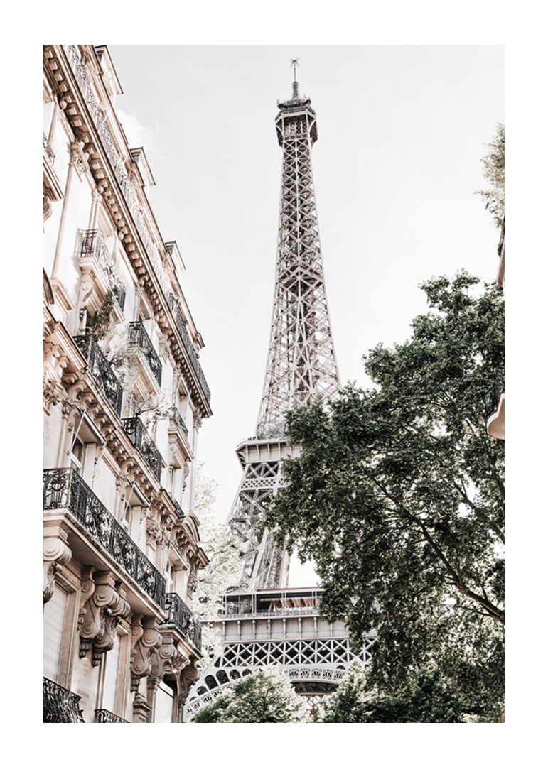 Low angle photography of the Eiffel Tower with greenery-12